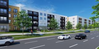 The Taylor Gallery 7