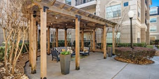 Rise at Elmside Gallery 22