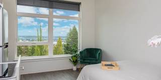 Koz on Market Gallery 8