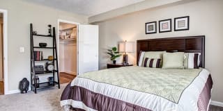 Summerfield Place Gallery 17