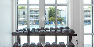 Village Green Gallery 27