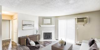 Ascent at Havana Gallery 3