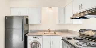 Bella Vista CO Gallery 2