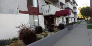 Newport Plaza Gallery 5