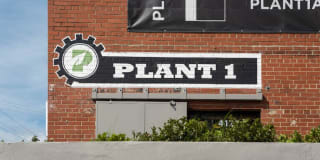 Plant 1 Plant 1 Gallery 26