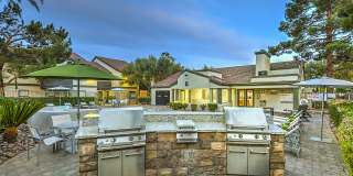 Desert Sage Gallery 54