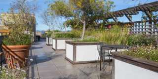 Sterling Addison - Student Housing Gallery 6