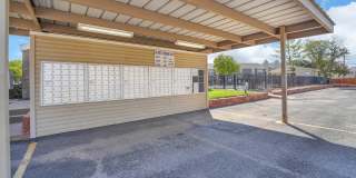 Raintree Gallery 23