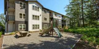 Alder Creek Gallery 5