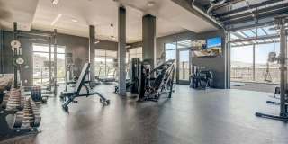 Novus Apartments Gallery 20