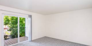 Bristol Woods Gallery 11