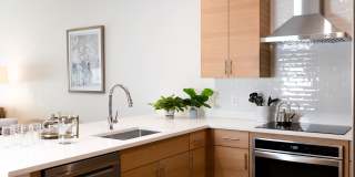 Illustrator Gallery 16