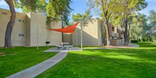 Camino Tomas Gallery 10