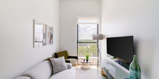 Foster Flats Gallery 49