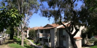 Lincoln Heights Gallery 19