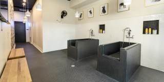 Auric Symphony Park Gallery 17