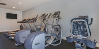 Saddleback Ranch Gallery 9