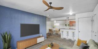 Park Place Gallery 4