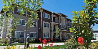 Baseline Woods Gallery 21