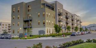 Vida at Daybreak Gallery 40