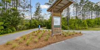 Exchange at Wildlight Gallery 12