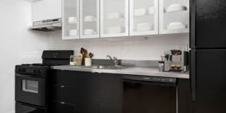 3510 North Pine Grove Gallery 3