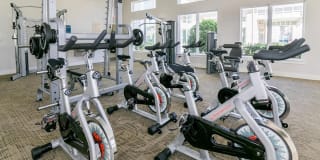 Luxe at Katy Gallery 68