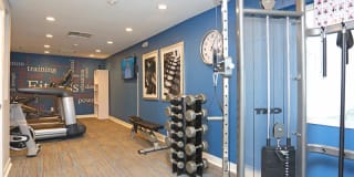 The Harrison Gallery 23