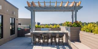 Illustrator Gallery 10