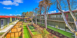 Pacific Pines Gallery 6