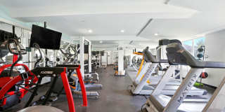 Redtail Court Gallery 28