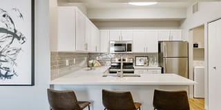 Kallisto at Bear Creek Gallery 4