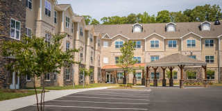 Davis Gardens Gallery 41