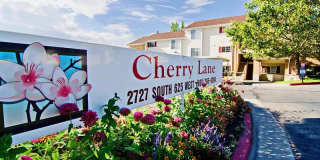 Cherry Lane Gallery 33