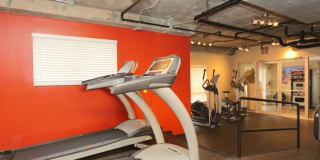 City Plaza Gallery 9