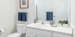 Axis at Ansel Axis at Ansel Gallery 10