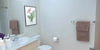 Ovation at Paine Field - 55+ Senior Living Community Gallery 7