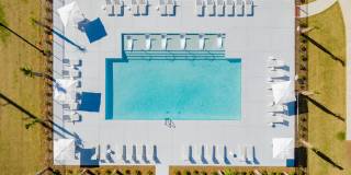 Exchange at Daphne Gallery 39