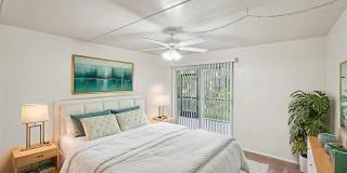 The Corals Gallery 10