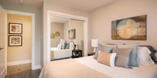 Solis Garden Gallery 7