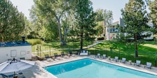 Kallisto at Bear Creek Gallery 5