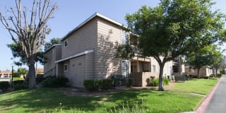 The Willows Gallery 1