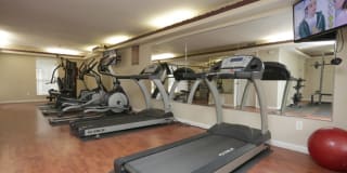 Falls Of Point West Gallery 14