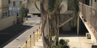 8742 Orion Gallery 5