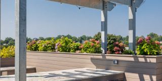 Illustrator Gallery 5