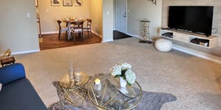 The Bicycle Club The Bicycle Club Gallery 22