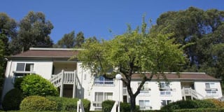 Park Hill Gallery 16