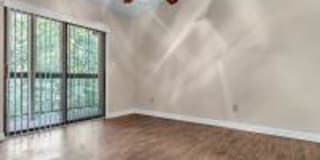 Gladstell Forest Gallery 16