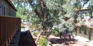 Mountain Plaza Gallery 21