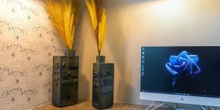 Delara Chase Gallery 7